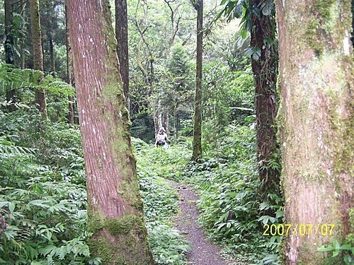 2007-07-07紅河谷越嶺步道