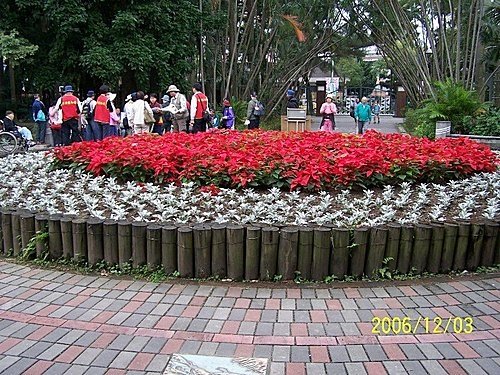 2006-12-03植物園