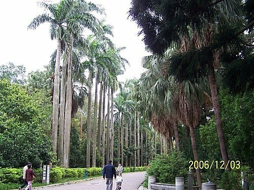 2006-12-03植物園