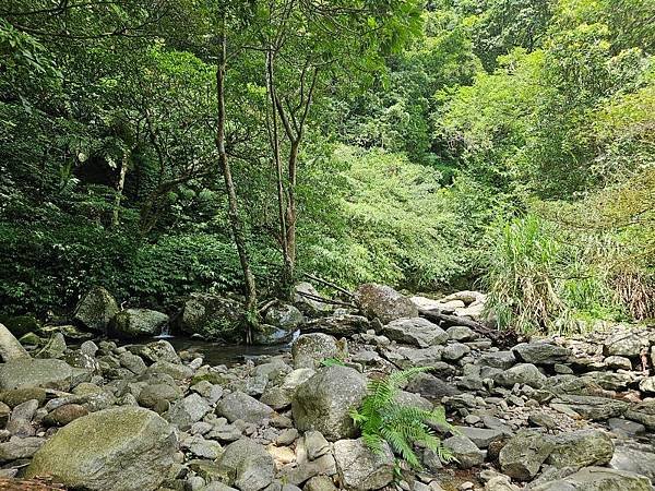 2023-08-26探訪坪頂古圳內厝溪段