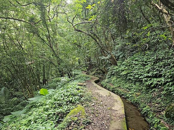 2023-08-26探訪坪頂古圳內厝溪段