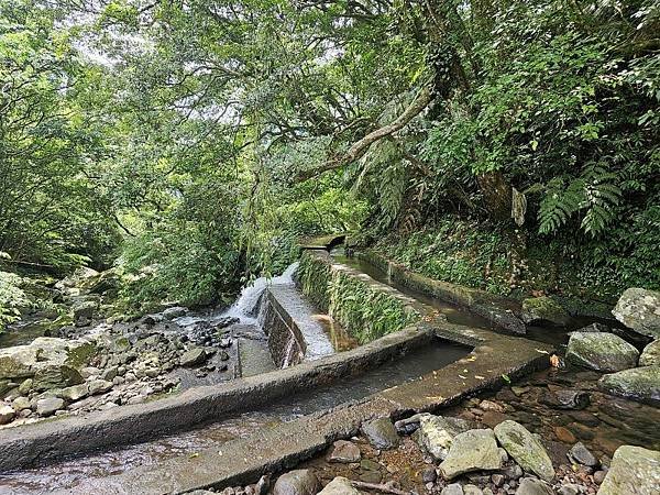 2023-08-26探訪坪頂古圳內厝溪段