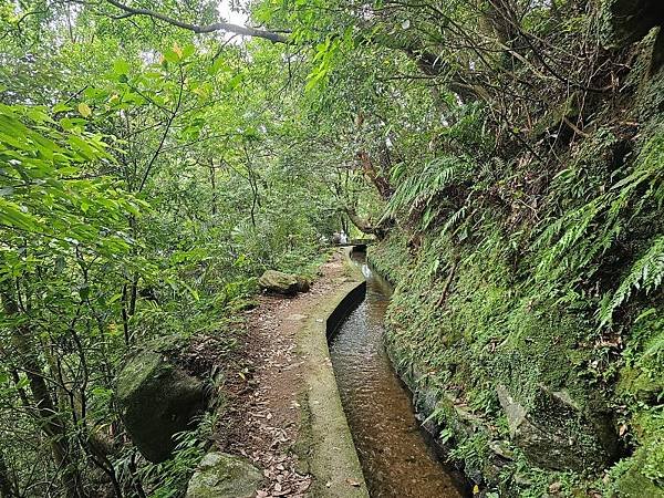 2023-08-26探訪坪頂古圳內厝溪段