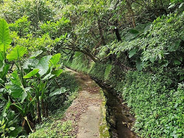 2023-08-26探訪坪頂古圳內厝溪段