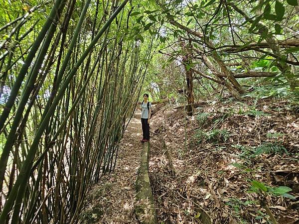 2023-08-26探訪坪頂古圳內厝溪段