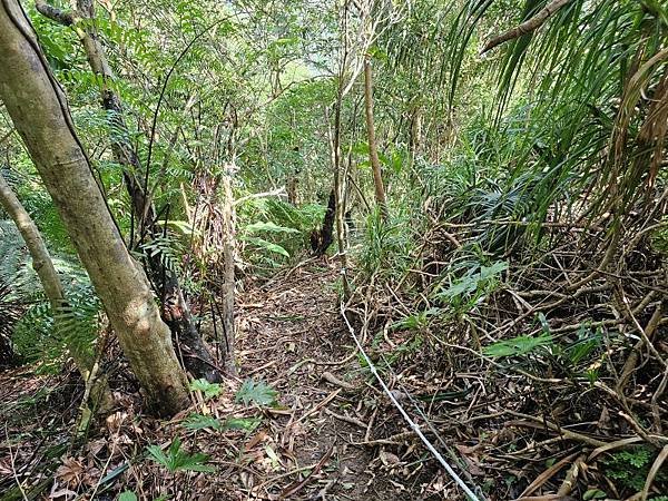 2023-09-09虎嘴口登紫萊山連走中央尖臭頭山O走(13