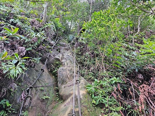 2023-09-09虎嘴口登紫萊山連走中央尖臭頭山O走(13