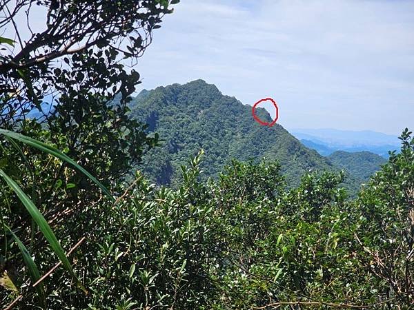 2023-09-09虎嘴口登紫萊山連走中央尖臭頭山O走(13