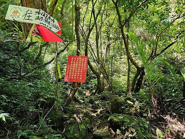 2023-09-09虎嘴口登紫萊山連走中央尖臭頭山O走(13