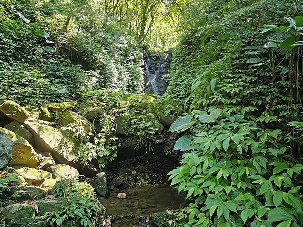 2023-09-19大尖山瀑布群、和尚頭山、槓尾山O走