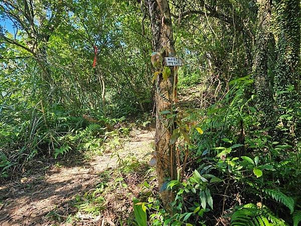 2023-09-19大尖山瀑布群、和尚頭山、槓尾山O走