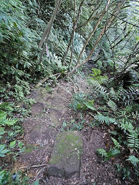 2023-09-19大尖山瀑布群、和尚頭山、槓尾山O走