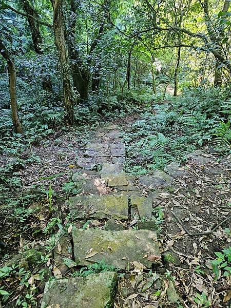 2023-09-19大尖山瀑布群、和尚頭山、槓尾山O走