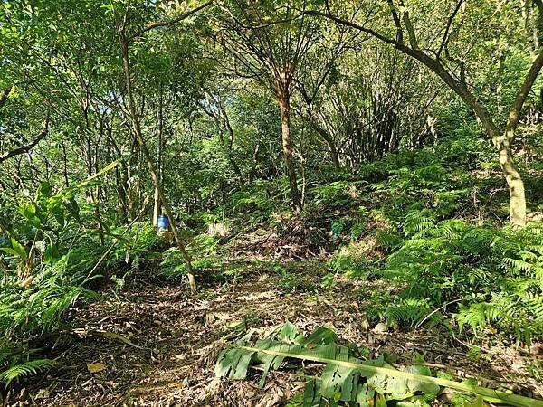 2023-09-19大尖山瀑布群、和尚頭山、槓尾山O走