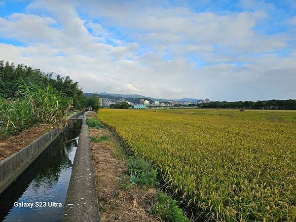 2023-11-25忠義小徑(忠義到奇岩)