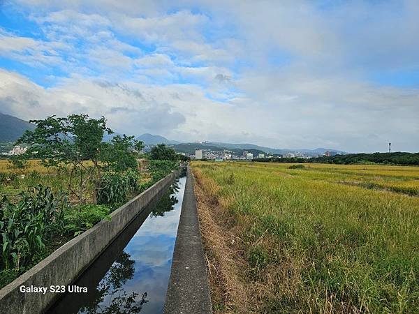 2023-11-25忠義小徑(忠義到奇岩)