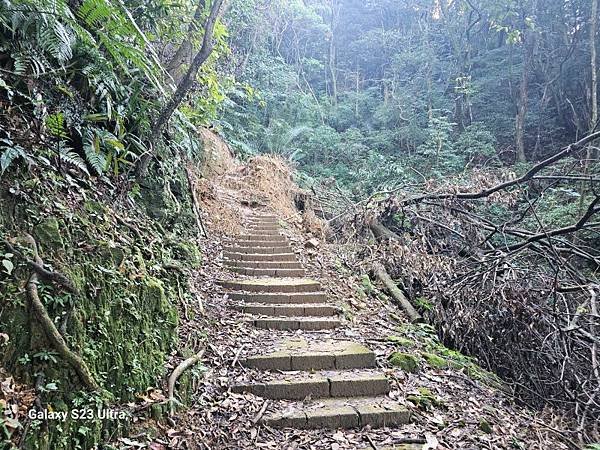 2023-12-15金字碑古道、三貂崙、牡丹山、金東坑古道(