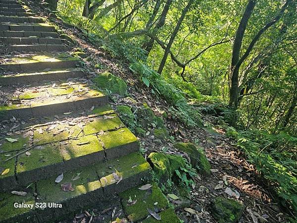 2023-12-15金字碑古道、三貂崙、牡丹山、金東坑古道(