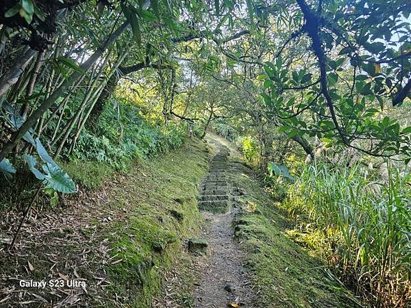 2023-12-15金字碑古道、三貂崙、牡丹山、金東坑古道(