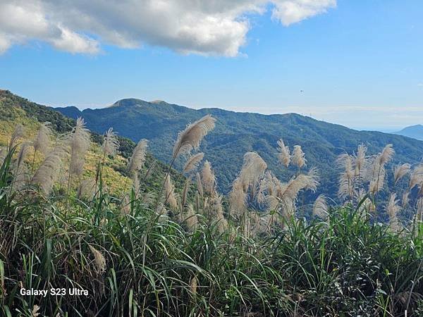 2023-12-15金字碑古道、三貂崙、牡丹山、金東坑古道(