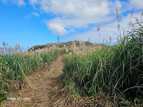 2023-12-15金字碑古道、三貂崙、牡丹山、金東坑古道(