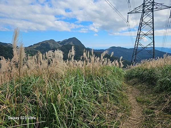 2023-12-15金字碑古道、三貂崙、牡丹山、金東坑古道(