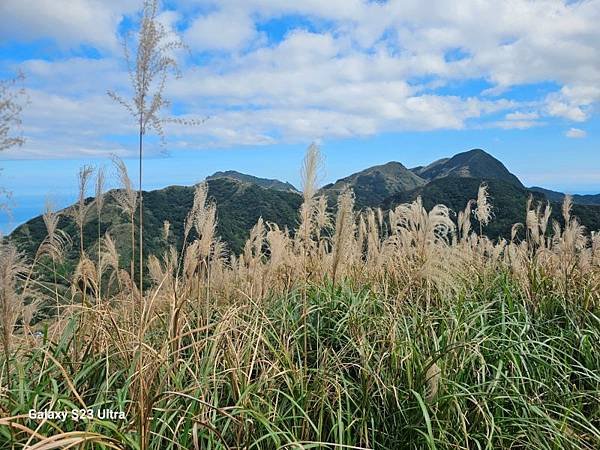 2023-12-15金字碑古道、三貂崙、牡丹山、金東坑古道(