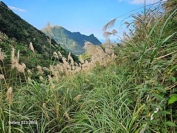 2023-12-15金字碑古道、三貂崙、牡丹山、金東坑古道(