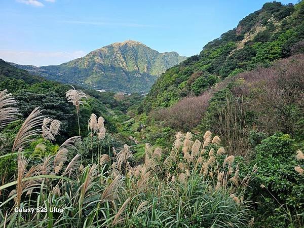 2023-12-15金字碑古道、三貂崙、牡丹山、金東坑古道(