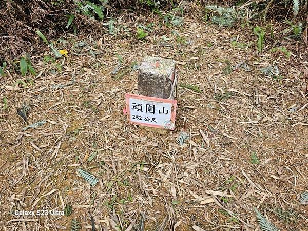 2023-12-27頭圍山、礁水坑南峰、礁水坑山(1345)