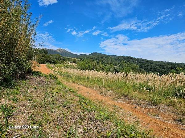 2023-12-27頭圍山、礁水坑南峰、礁水坑山(1345)