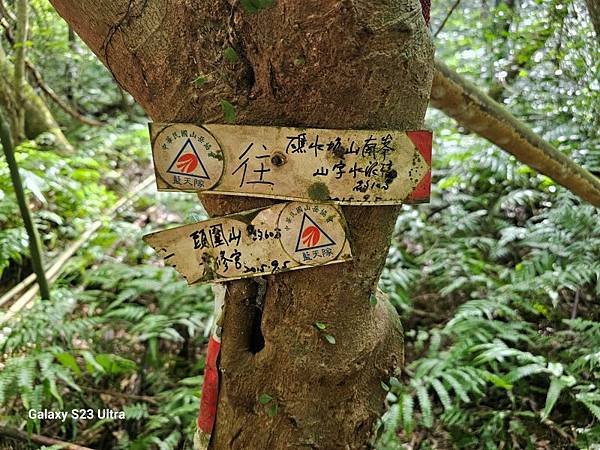 2023-12-27頭圍山、礁水坑南峰、礁水坑山(1345)