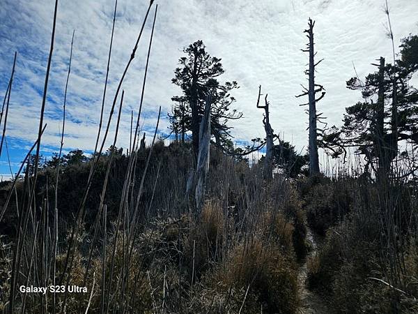 2024-01-07望鄉山、郡大山北峰、郡大山(1348)