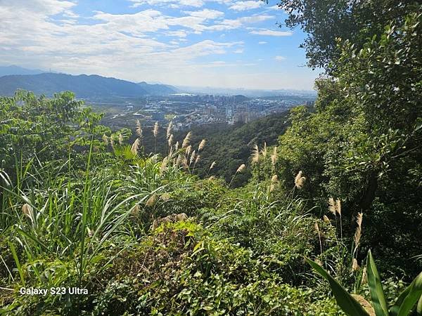 2024-02-03北鶯山、龜公山、阿四坑山、阿南坑山、彰埔