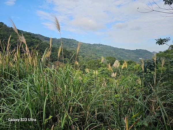 2024-02-03北鶯山、龜公山、阿四坑山、阿南坑山、彰埔