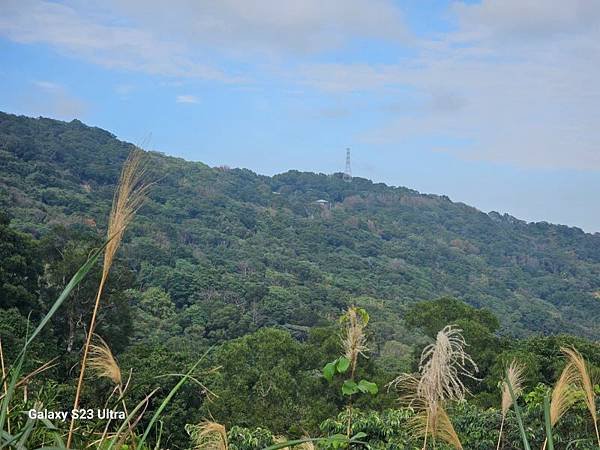 2024-02-03北鶯山、龜公山、阿四坑山、阿南坑山、彰埔