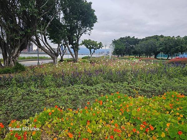 2024-02-24金園排骨、島頭公園、舊雙溪步道、雙溪濕地