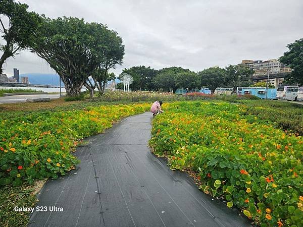 2024-02-24金園排骨、島頭公園、舊雙溪步道、雙溪濕地