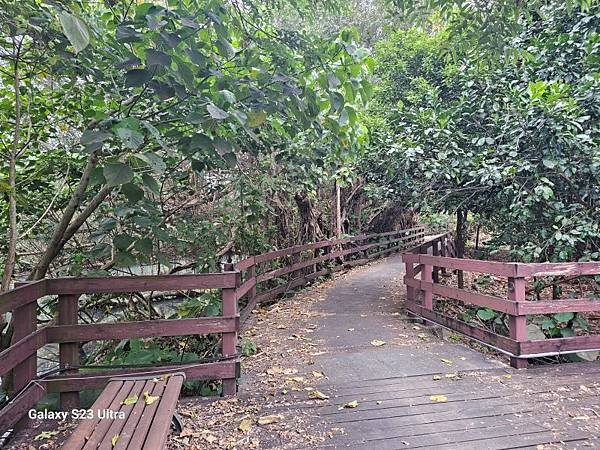 2024-02-24金園排骨、島頭公園、舊雙溪步道、雙溪濕地