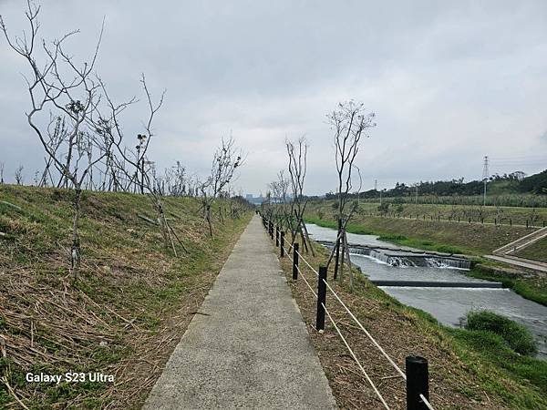 2024-02-28中庄土丘、中庄吊橋、山豬湖溼地園區