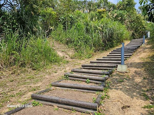 2024-03-29富宏牛肉麵、文山森林公園登蟾蜍山(135