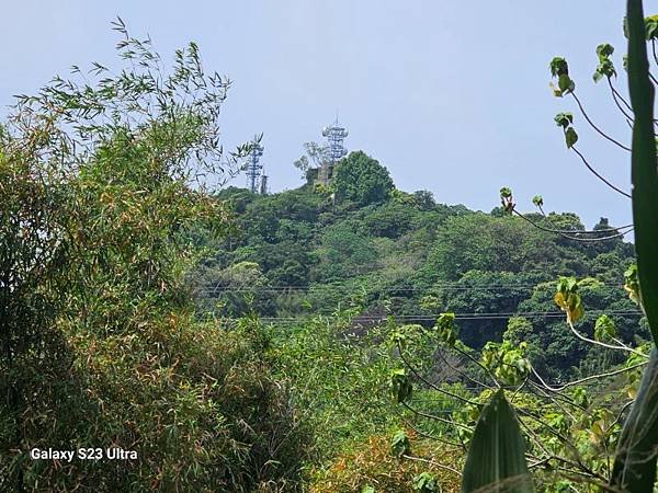 2024-03-29富宏牛肉麵、文山森林公園登蟾蜍山(135