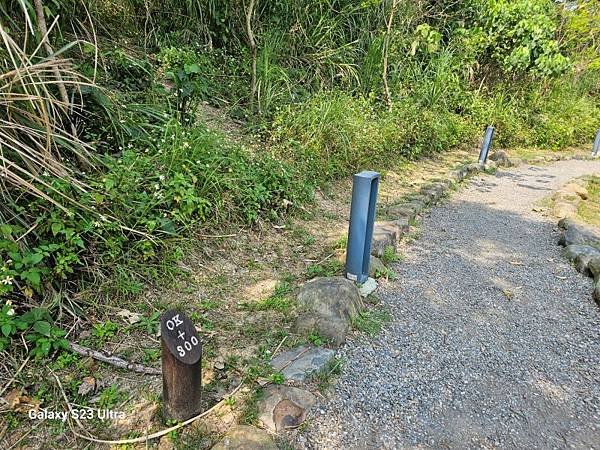 2024-03-29富宏牛肉麵、文山森林公園登蟾蜍山(135