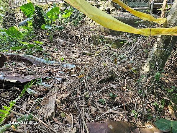 2024-03-29富宏牛肉麵、文山森林公園登蟾蜍山(135