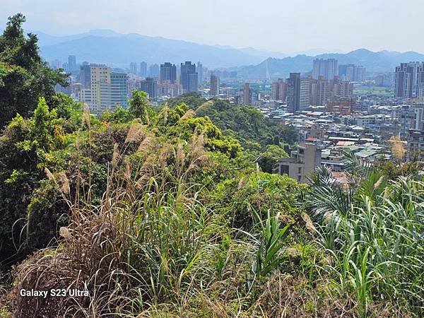 2024-03-29富宏牛肉麵、文山森林公園登蟾蜍山(135