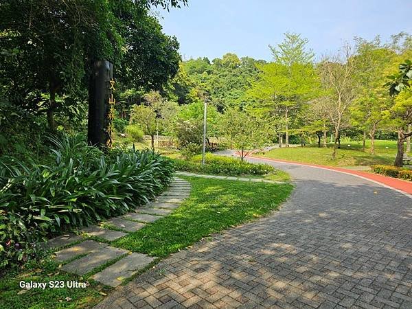 2024-03-29富宏牛肉麵、文山森林公園登蟾蜍山(135