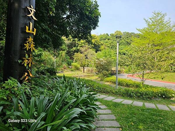 2024-03-29富宏牛肉麵、文山森林公園登蟾蜍山(135