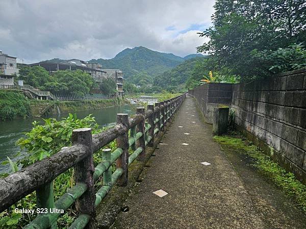 2024-04-27坪林賞螢趣