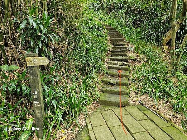 2024-06-09獅山小徑、南港峭壁4號8字走