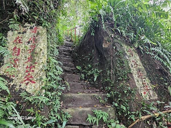 2024-06-09獅山小徑、南港峭壁4號8字走